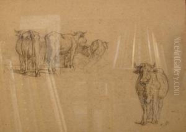 Etude De Vaches - view 1