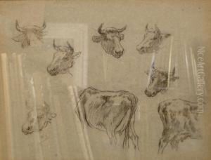 Etudes De Tetes De Vaches Et De Culs De Vaches by Felix Saturnin Brissot de Warville