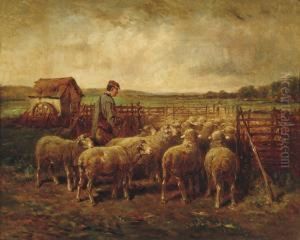 Berger Et Ses Moutons