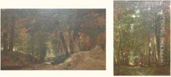 Sous-bois Et Riviere Ombragee - view 1