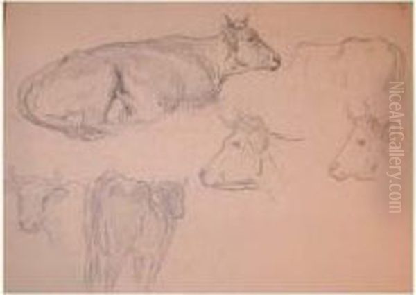 Ensemble De 15 Dessins - view 1