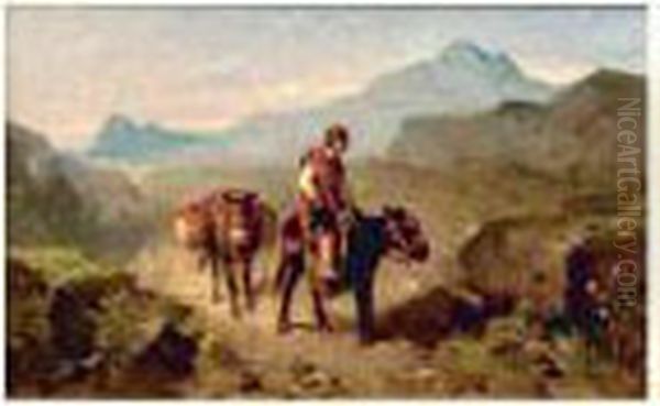 L'anier Sur Un Sentier Escarpe - view 1
