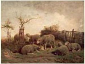 Moutons Dans Un Enclos. Moutons Dans Un Enclos.