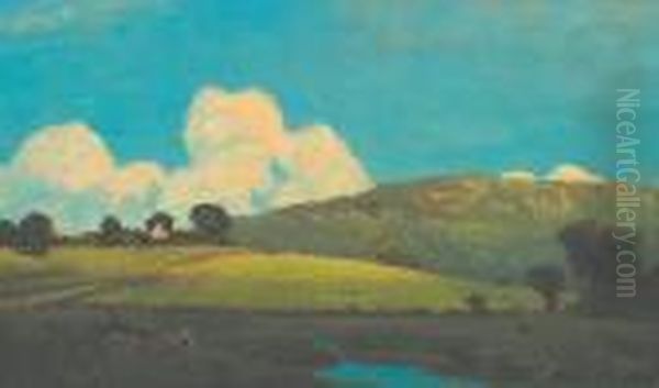 Spring Landscape With Pond - view 1