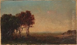 An Extensive Landscape At Dusk