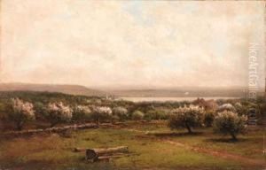 A Glimpse Of The Lake