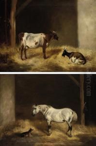 A Cow And Goat In Astable A Cow And Goat In Astable