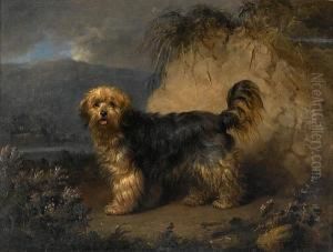 A Bearded Collie In A Landscape by Edmund Bristow