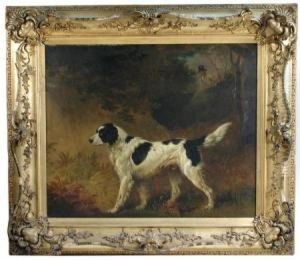 Portrait Of Fox by Edmund Bristow