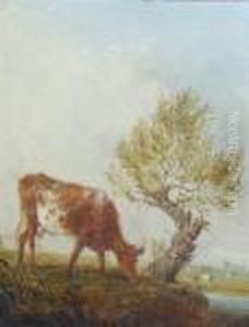British, - Cow Grazing At The Edgeof A Field by Edmund Bristow