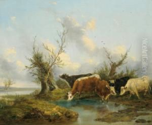 Kuhe An Der Tranke by Edmund Bristow