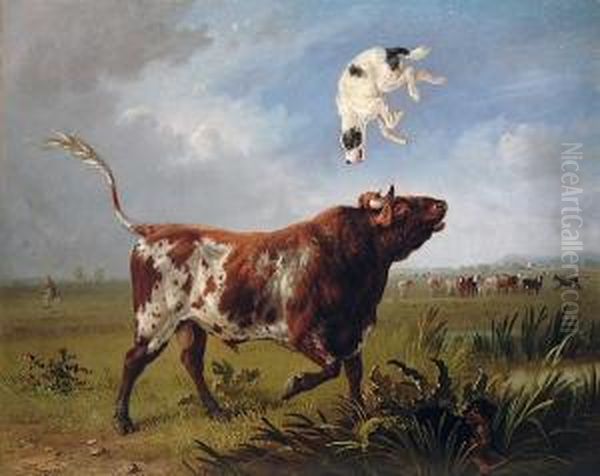 A Bull Tossing A Terrier While A Fisherman Makes Good His Escape - view 1