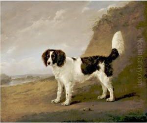 Spaniel by Edmund Bristow