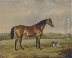 A Bay Hunter With A Terrier In An Extensive Landscape by Edmund Bristow