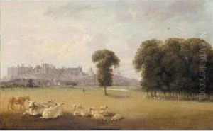 View Of Windsor Castle With Cattle In The Foreground