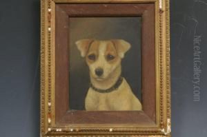 A Pair, Jack Russell Terriers, Head And Shoulders by Charles Edward Snr Brittan
