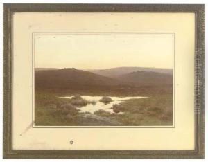 Evening Near Princetown, Devon by Charles Edward Snr Brittan