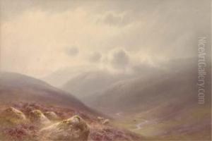 Sheep Grazing On The Moors Below Low-lying Clouds