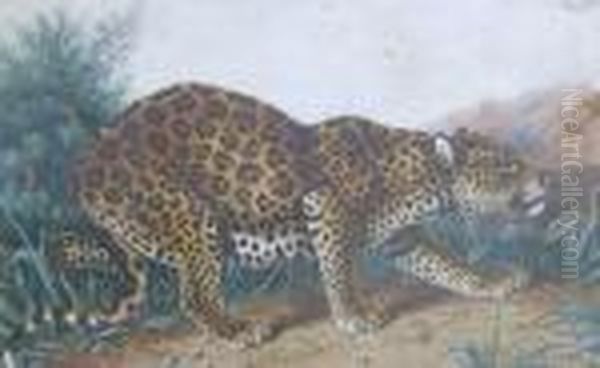 A Leopard - view 1