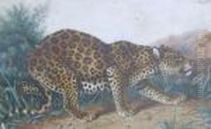 A Leopard by Charles Edward Snr Brittan