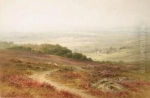 Looking Towards Meavy, Yelverton, Dartmoor; And Near Walsetton,dartmoor