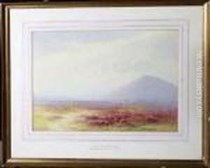 Moors Above Brodick