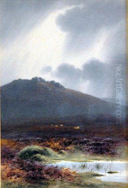 Watercolour, View Oftrowlsworthy, Dartmoor, Signed - view 1