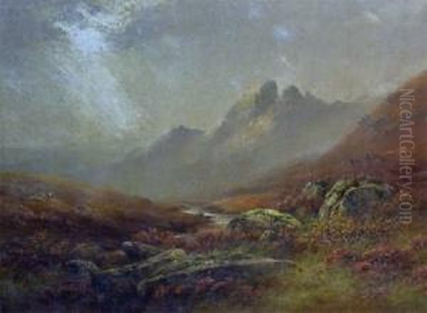 Signed, Oil, Sheep Grazing In Highland Landscape, 17 - view 1