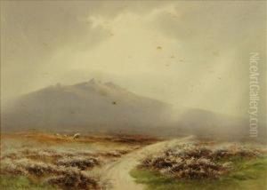 W.trowlesworthy, Dartmoor