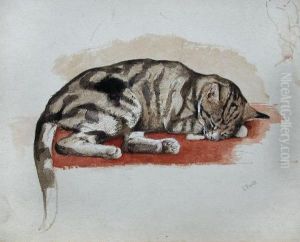 Studyof A Tortoiseshell Cat by Charles Edmund Brock