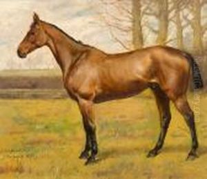 Harkaway