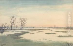 Paysage D'hiver