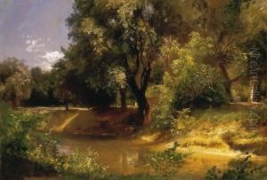 Sunlit Park Scene