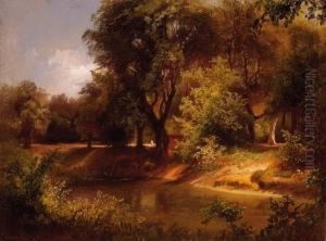 Forest Scene With A River