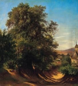 Shadowy Way On The Border Of The Town