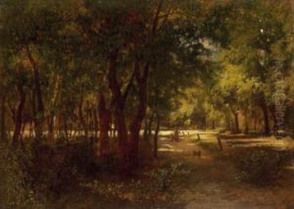Sunlit Promenade - view 1