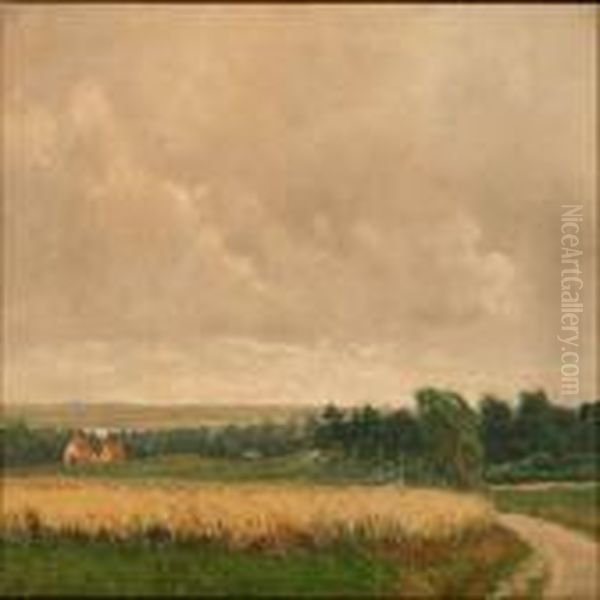 Harvest Landscape From Nordsjaelland, Denmark - view 1