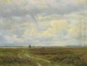 Skansehage Rorvig