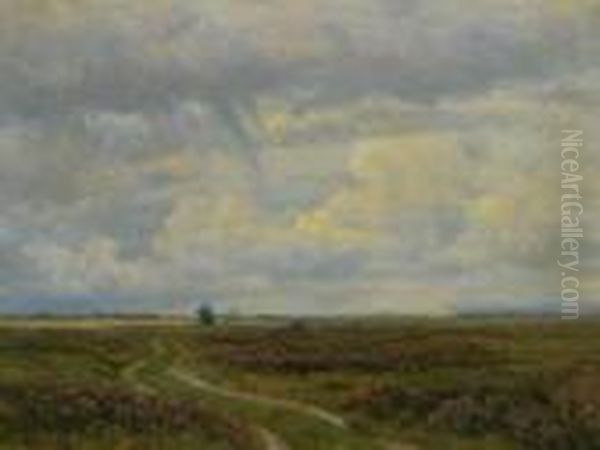 Untitled - view 1