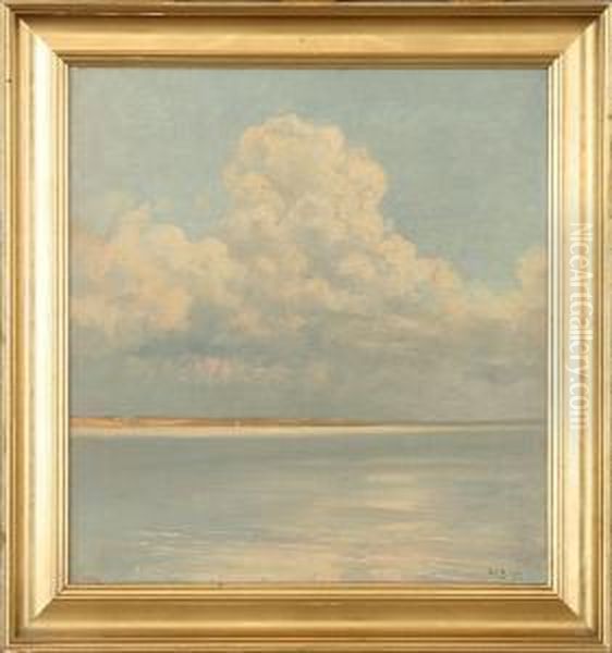 Summer Sky At Lynaes - view 1