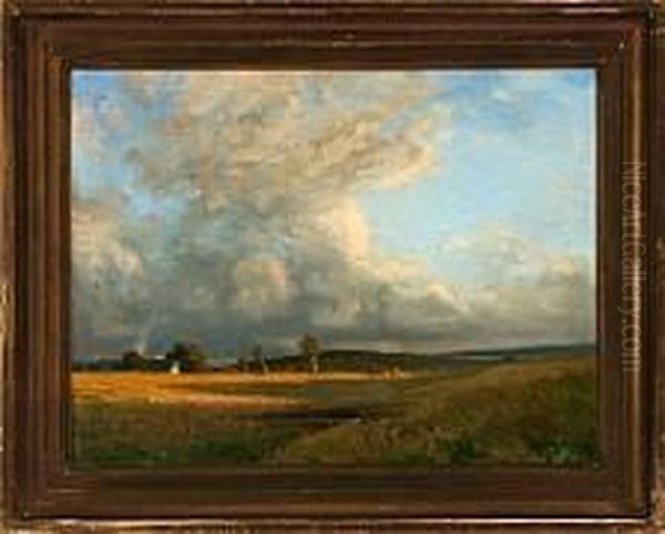A Danish Landscape Scenery - view 1