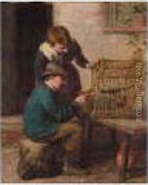 Feeding The Jackdaw - view 1