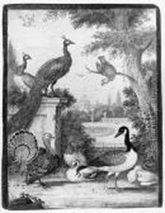 Peacocks, A Parrot, A Goose, A Turkey, Ducks And Another Bird In Apalatial Garden Peacocks, A Parrot, A Goose, A Turkey, Ducks And Another Bird In Apalatial Garden