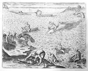 American Indian method of whaling by Theodore de Bry