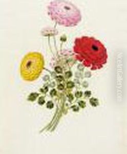 Groups Of Flowers Groups Of Flowers