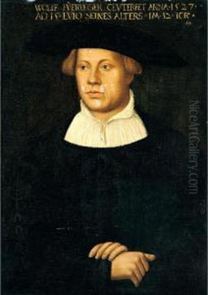 Portrait Of Wolff Fuerleger, Aged 32, Halflength, Wearing An Embroidered Black Coat - view 1