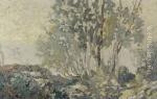Figure Feminine Sous Les Bouleaux - view 1