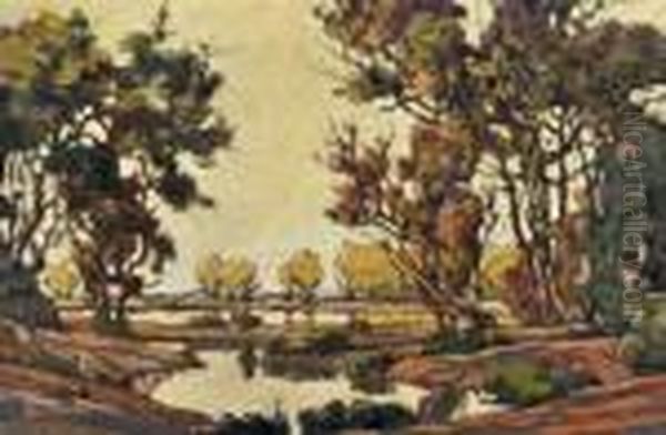 Etangs De La Dombes - view 1