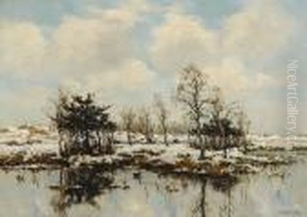 Landscape - view 1