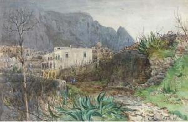 In Capri - view 1